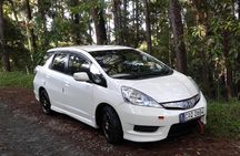 Private Full Day Tour to Nuwara Eliya from Kandy