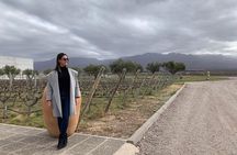 Uco Valley - Altitud Vines