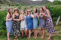 Join in Wine Tours