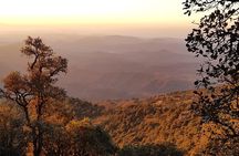 Horseback riding and camping in the mountains