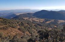 Horseback riding and camping in the mountains