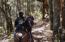 Horseback riding and camping in the mountains