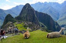 Machu Picchu Full Day Tour | 1 Day Train Trip