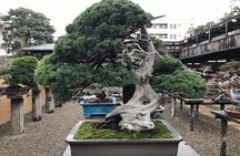 Make your own BONSAI with a professional artist in Tokyo