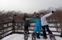 First snow play & snowshoe