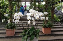 Bird Park & Butterfly Farm Nature Tour From Kuala Lumpur