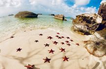 Land Tour 2: Discover the North - Kayaking & Starfish beach Phu Quoc (Not Lunch)