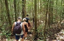 Land Tour 2: Discover the North - Kayaking & Starfish beach Phu Quoc (Not Lunch)