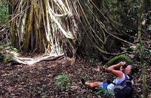 Land Tour 2: Discover the North - Kayaking & Starfish beach Phu Quoc (Not Lunch)