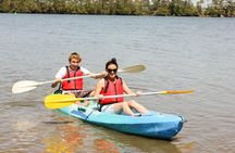 Land Tour 2: Discover the North - Kayaking & Starfish beach Phu Quoc (Not Lunch)