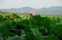 1 Day Hangzhou Private Tour