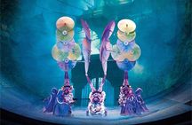 Beijing Evening Acrobatic Show with Hotel Transfer