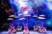 Beijing Evening Acrobatic Show with Hotel Transfer