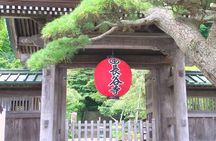 Kamakura Temples Private Guided Tour from Tokyo