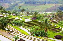 Private Shore Excursion: Customized Best of Bali Tour