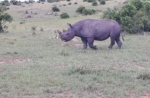 Nairobi National Park Safari