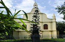 Cochin Heritage Tour
