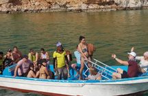 Dibba Musandam Tour with Transfer