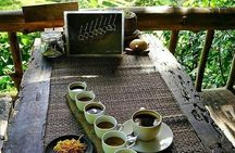 Ubud In On Day