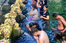Ubud In On Day