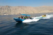 Musandam Sea Safari with Lunch From Dubai