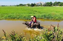 Riding Water Buffalo Hoi An Private Bike Tour