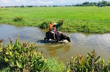 Riding Water Buffalo and Basket Boat Hoi An Private Bike Tour