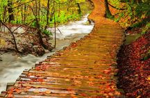 From Zagreb: Plitvice lakes guided tour