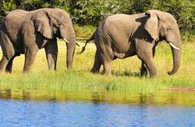 2 Days in Akagera National Park 