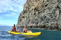 Kayak with Dolphin & Turtle Watching Private Tour 