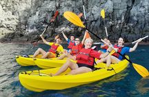 Kayak with Dolphin & Turtle Watching Private Tour 