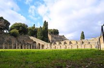 Skip-the-Line Half-Day Private Tour Ancient Pompeii Highlights with Native Guide