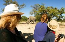 Private Rhino Walking Safari Experience from Livingstone