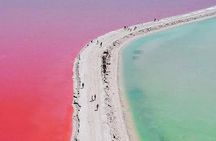 Adventour Day: Coloradas and Rio Lagartos Excursion from Cancun!