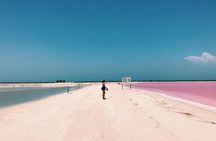 Adventour Day: Coloradas and Rio Lagartos Excursion from Cancun!