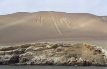 Paracas Fullday - Islas Ballestas y Nationalpark in Minibuggy