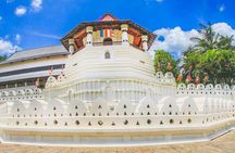 8 Days Classic Tour Sri Lanka