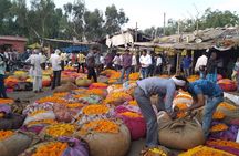 6-Day Private Tour of the Golden Triangle