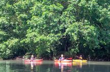 Sarapiquí River Jungle Kayak Tour