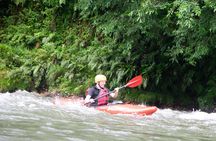 Sarapiquí River Jungle Kayak Tour