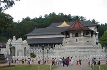 Kandy Day Trip with Tooth Relic Temple & Unique Attractions