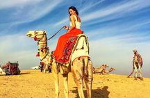 Private Tour to Giza Pyramids and sphinx from El Alamein