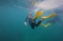 Guided Snorkel Experience, Advanced