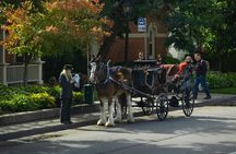Niagara Falls One Day Sightseeing Tour from Toronto