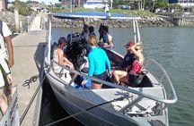Certified Scuba Diving with Whitetip Marine Adventures team