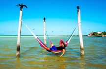 Unforgettable Tour to Magic Island of Holbox from Riviera Maya