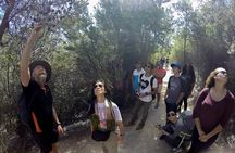 Launceston to Hobart via Wineglass Bay - Active Tour