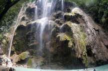 Oslob Whale Shark watching + Canyoneering Adventure Tour