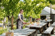 Private tour - Matakana Art & Wine Village