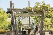 Private tour - Matakana Art & Wine Village